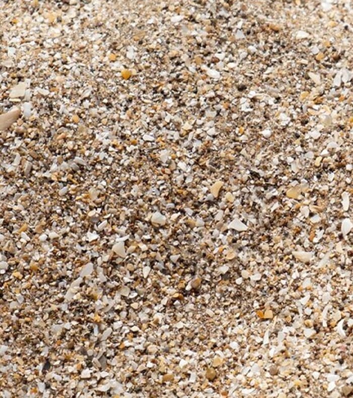 Washed coarse sand with fine gravel